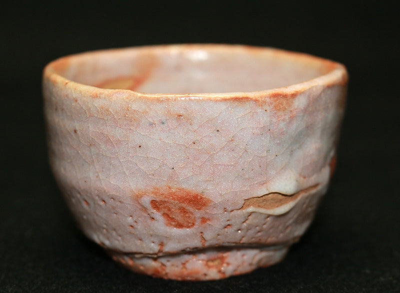 23218 ARAKAWA Toyozo (Shino sake cup) 