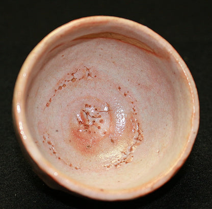 23218 ARAKAWA Toyozo (Shino sake cup) 