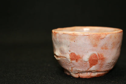 23218 ARAKAWA Toyozo (Shino sake cup) 