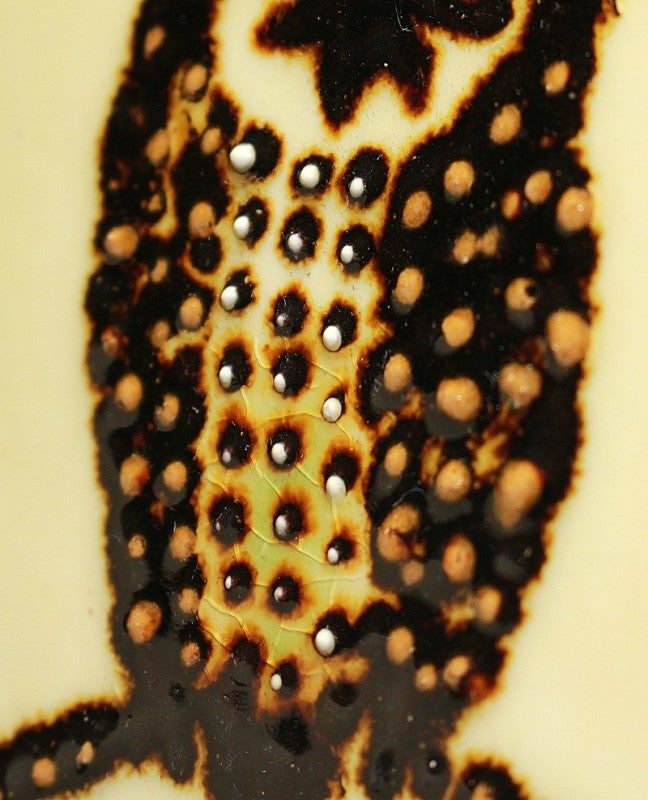 Yahoo!オークション -「舩木研兒」の落札相場・落札価格