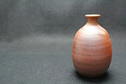 24900 FUJIWARA Yu (Bizen Sake Bottle) 