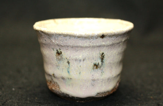 25287 Nishioka Koju (Patterned Karatsu sake cup) 