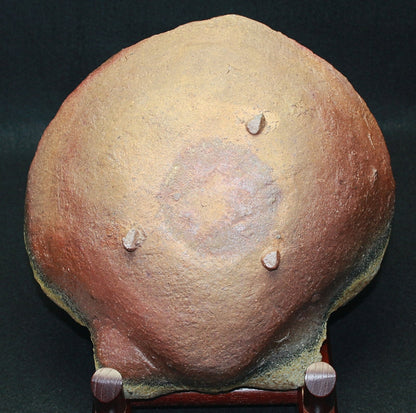 22490 Kitaoji Rosanjin (Bizen ash-covered shell-shaped bowl (2nd generation Kuroda Touanshi))