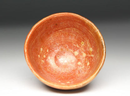 21115 10th Generation Raku Kichizaemon (Plum blossom painting sake cup [Dan'yu]) RAKUKICHI Zaemon