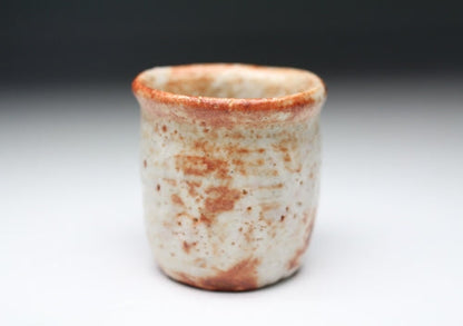 21351 Kitaoji Rosanjin [Second generation Touan Shiki] (Akashino Matsugaki pattern sake cup)