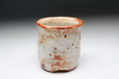 21351 Kitaoji Rosanjin [Second generation Touan Shiki] (Akashino Matsugaki pattern sake cup)