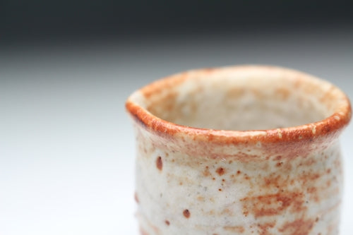 21351 Kitaoji Rosanjin [Second generation Touan Shiki] (Akashino Matsugaki pattern sake cup)