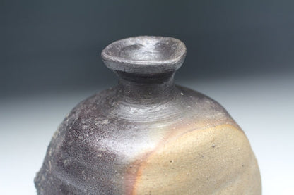 21371 Nakamura Rokuro (Bizen sake bottle)