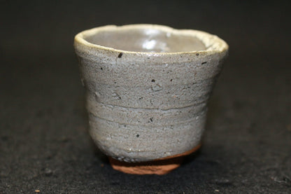 25339 Nakagawa Jinenbo (Picture Karatsu sake cup) 