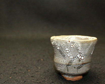 25339 Nakagawa Jinenbo (Picture Karatsu sake cup) 