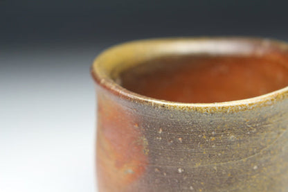 21348 Kaneshige Toyo (Bizen sake cup)