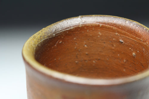 21348 Kaneshige Toyo (Bizen sake cup)