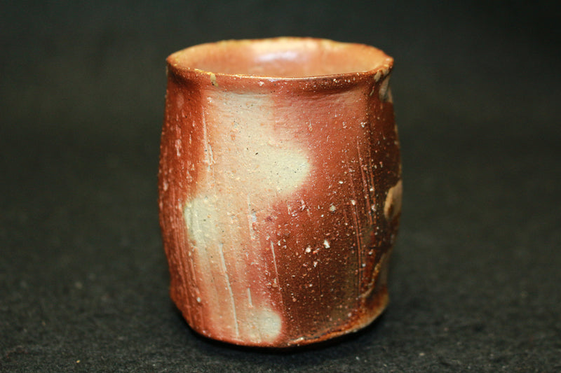 25315 KAKUREZAKI Ryuichi (Bizen sake cup) 