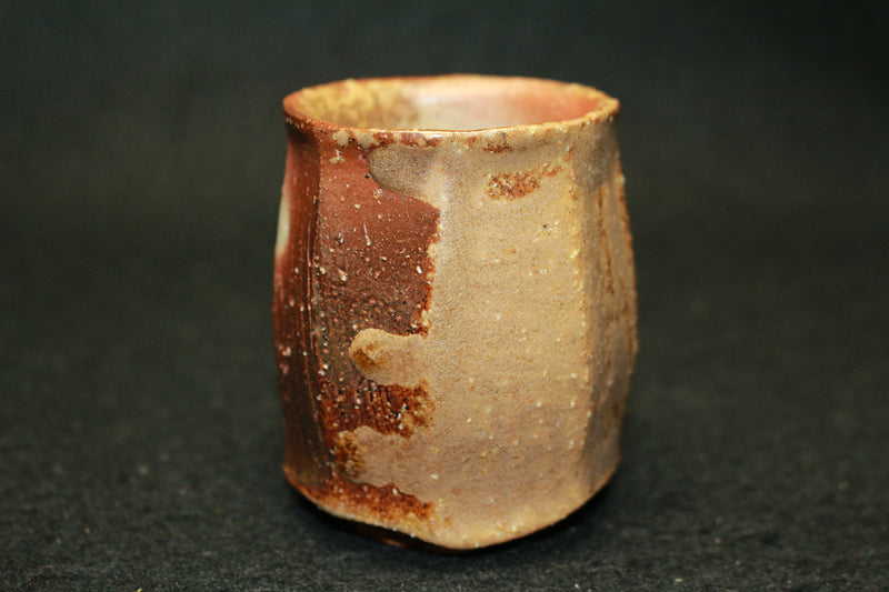 25315 KAKUREZAKI Ryuichi (Bizen sake cup) 