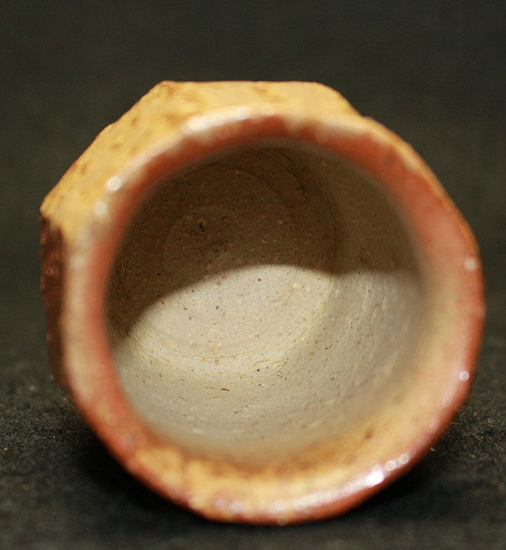 25315 KAKUREZAKI Ryuichi (Bizen sake cup) 