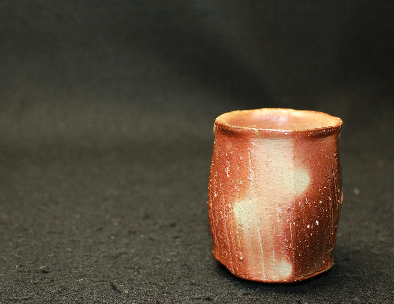 25315 KAKUREZAKI Ryuichi (Bizen sake cup) 