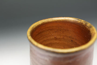 20371 Kaneshige Toyo (Bizen teacup)