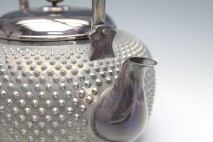 20678 Pure silver (kettle [930g])