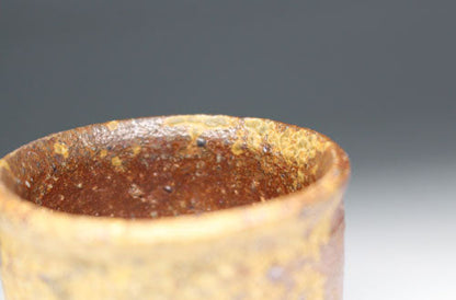 20681 Kitaoji Rosanjin [Yusai Box] (Bizen Sake only)