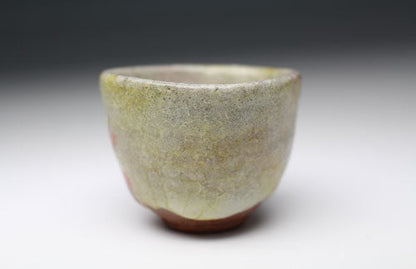 20760 6th generation Kiyomizu Rokube (70th color red plum sake cup) KIYOMIZU Rokube