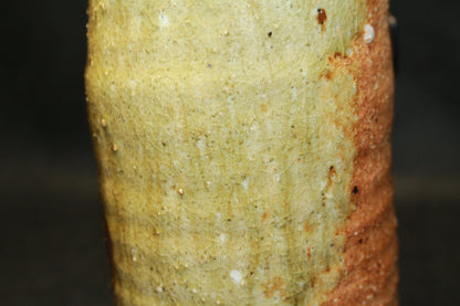 26132 Kitaoji Rosanjin Shigaraki Travel Pillow Vase KITAOJI Rosanjin