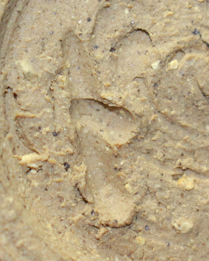 26130　人間国宝　金重陶陽	　灰釉鉄紋酒呑（於ハワイ大学・晃介識））　KANESHIGE Toyo