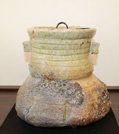 26135	杉本貞光	　寺垣外窯　信楽破袋水指「大雄峯」（大亀）　SUGIMOTO Sadamitsu