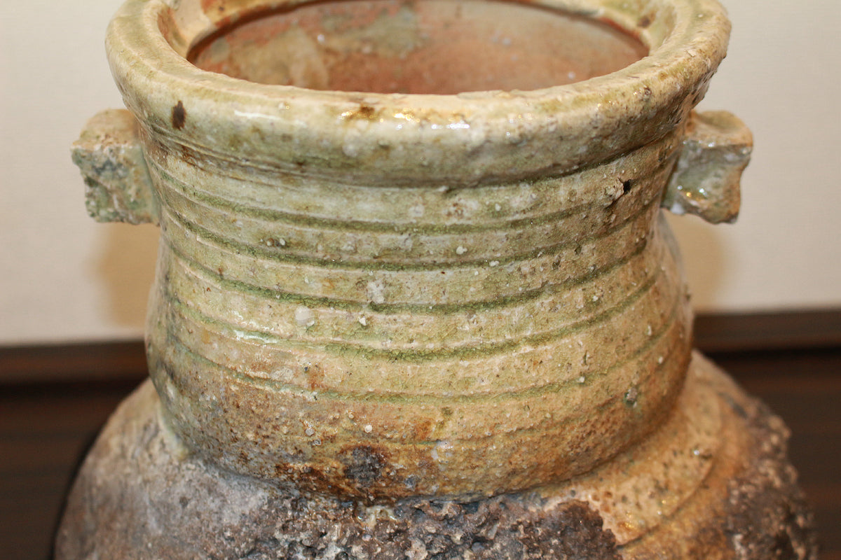 26135	杉本貞光	　寺垣外窯　信楽破袋水指「大雄峯」（大亀）　SUGIMOTO Sadamitsu