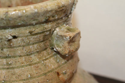 26135	杉本貞光	　寺垣外窯　信楽破袋水指「大雄峯」（大亀）　SUGIMOTO Sadamitsu