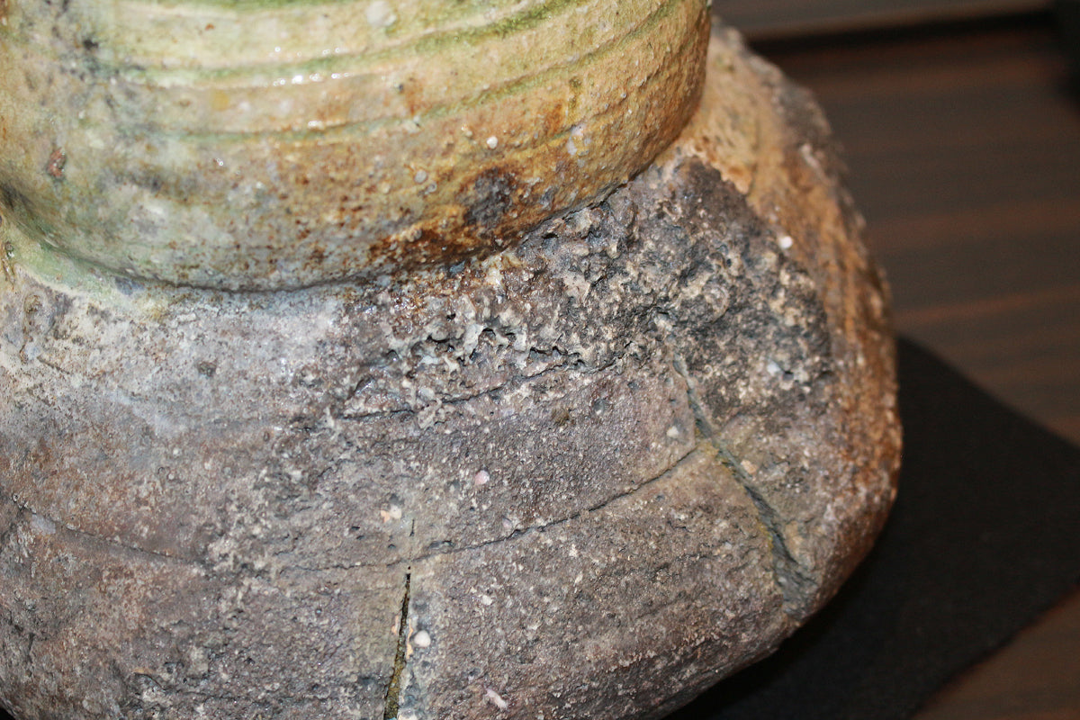 26135	杉本貞光	　寺垣外窯　信楽破袋水指「大雄峯」（大亀）　SUGIMOTO Sadamitsu