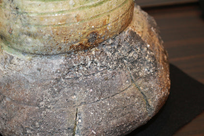 26135	杉本貞光	　寺垣外窯　信楽破袋水指「大雄峯」（大亀）　SUGIMOTO Sadamitsu