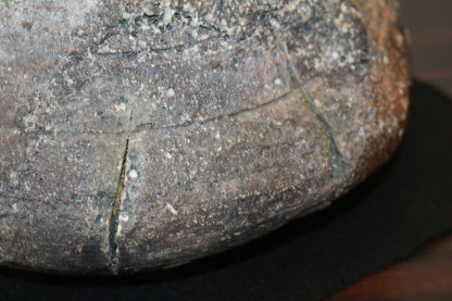 26135	杉本貞光	　寺垣外窯　信楽破袋水指「大雄峯」（大亀）　SUGIMOTO Sadamitsu