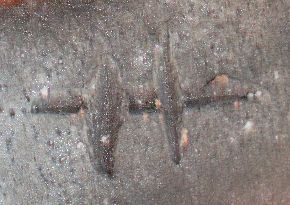 26135	杉本貞光	　寺垣外窯　信楽破袋水指「大雄峯」（大亀）　SUGIMOTO Sadamitsu