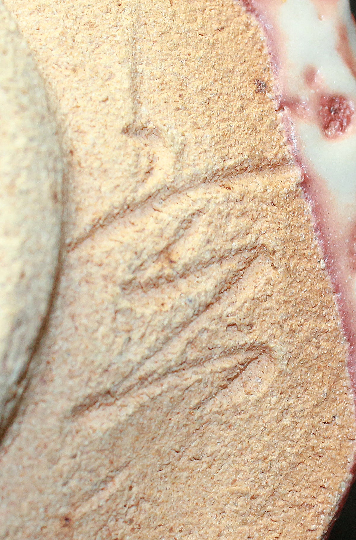 26146     加藤唐九郎	志野茶碗（昭和59年　1984年　玄　加藤唐九郎作品集　No.82掲載品）　  KATO Tokuro