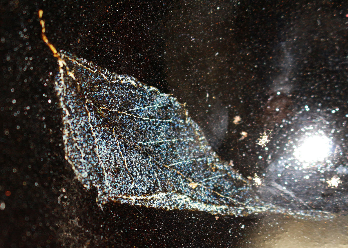 26164 木村盛和 木ノ葉天目釉茶碗 KIMURA Morikazu – アート飛田