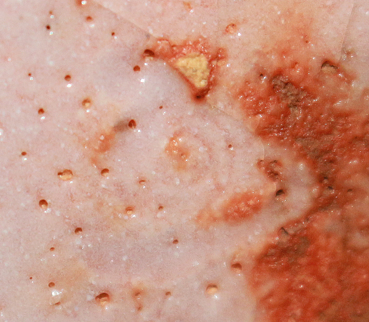 26165    人間国宝　加藤孝造　志野ぐい呑①　KATO Kozo