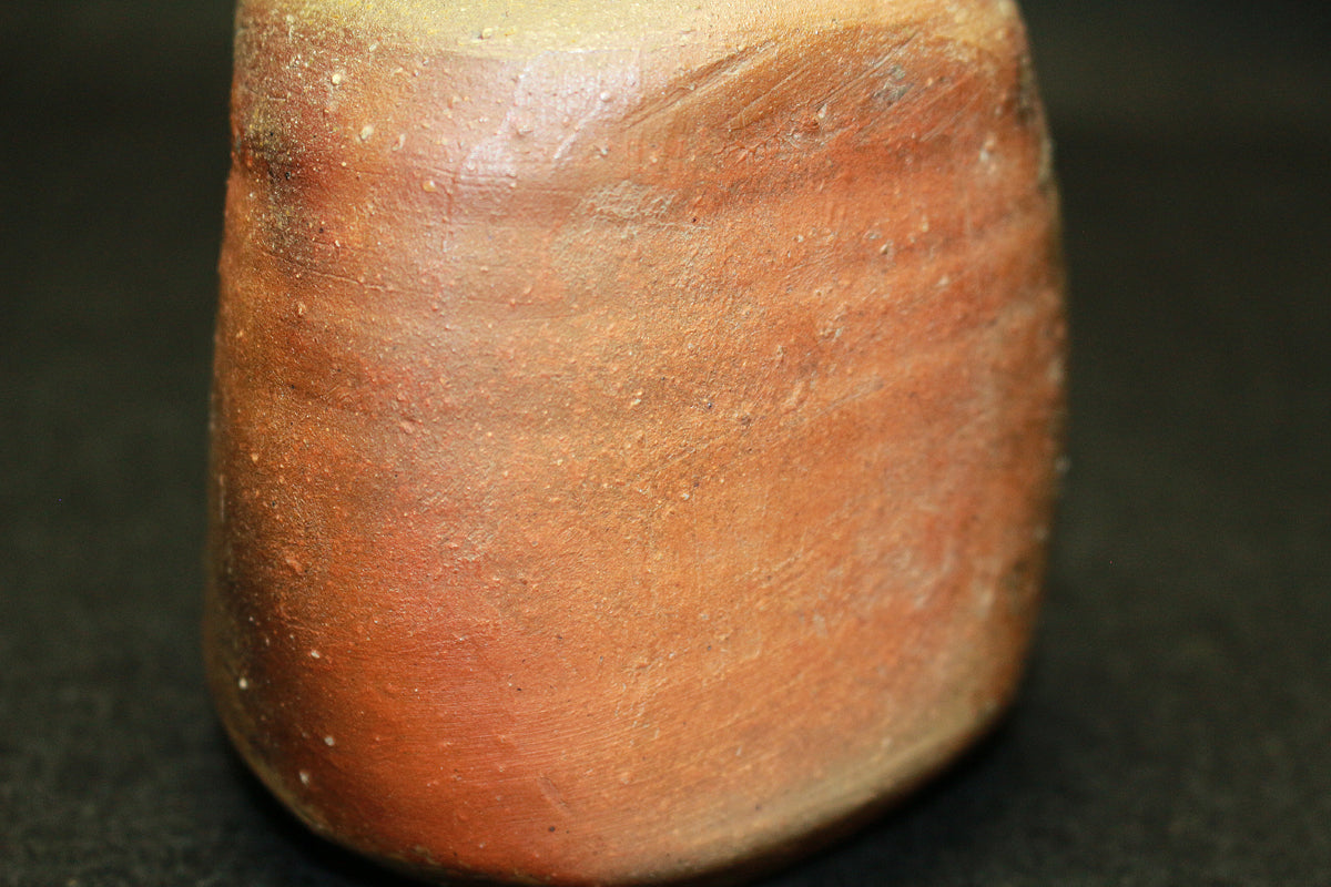 26170 Nakamura Rokuro Bizen Sake Bottle 