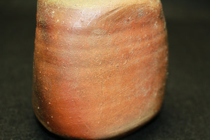26170 Nakamura Rokuro Bizen Sake Bottle 