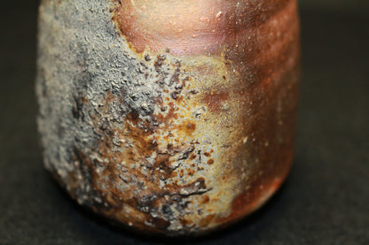 26170 Nakamura Rokuro Bizen Sake Bottle 