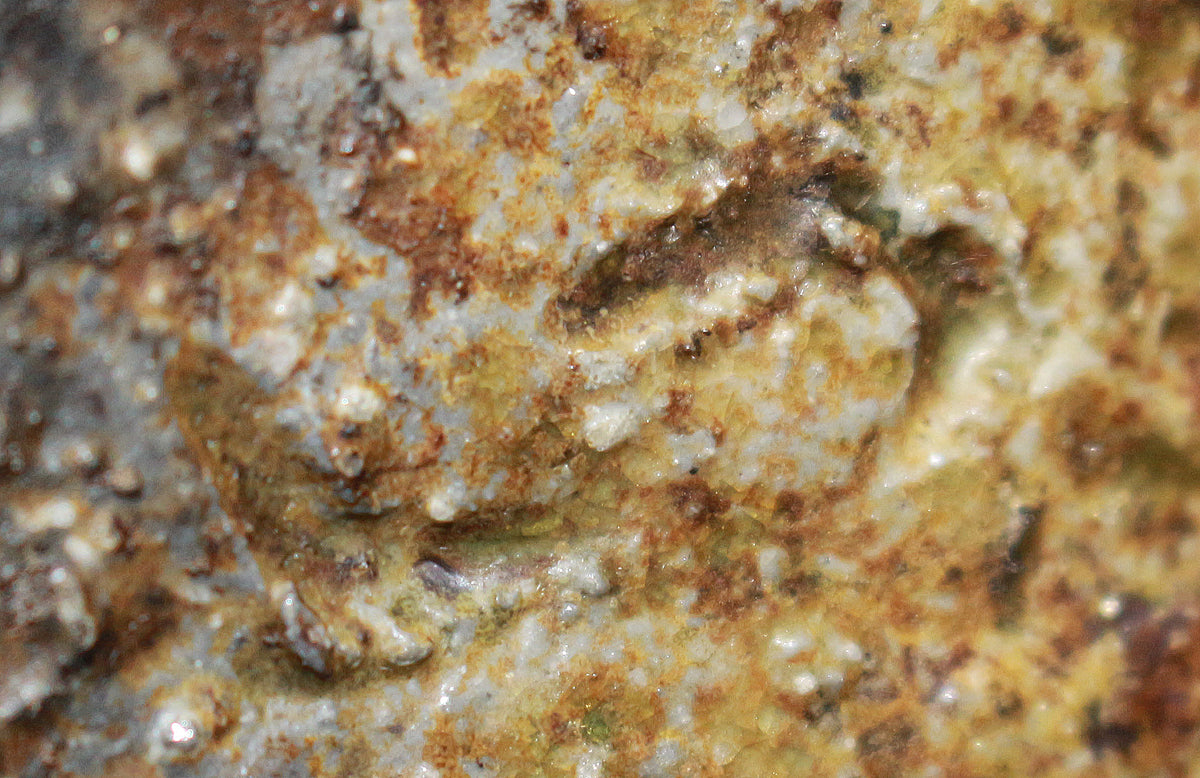 26170 Nakamura Rokuro Bizen Sake Bottle 