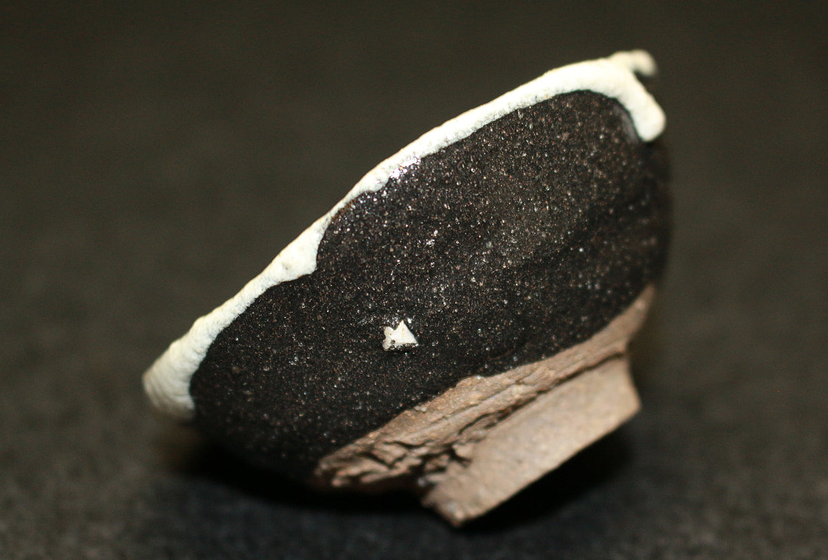 26185　人間国宝　清水卯一　蓬莱掛分赤絵花盃　SHIMIZU Uichi