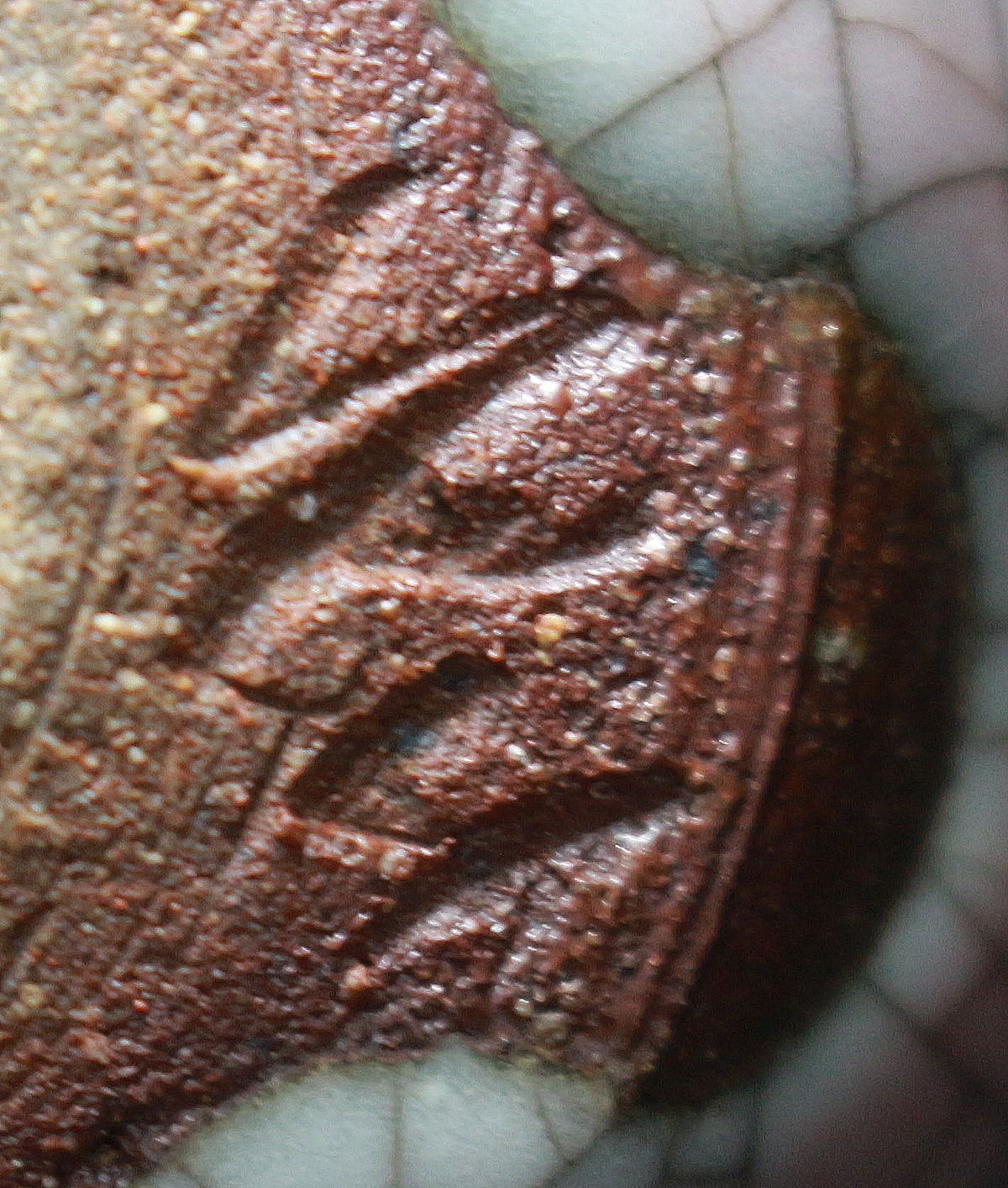 26194　 人間国宝　中島宏　粉紅ぐい呑　NAKAJIMA　Hiroshi