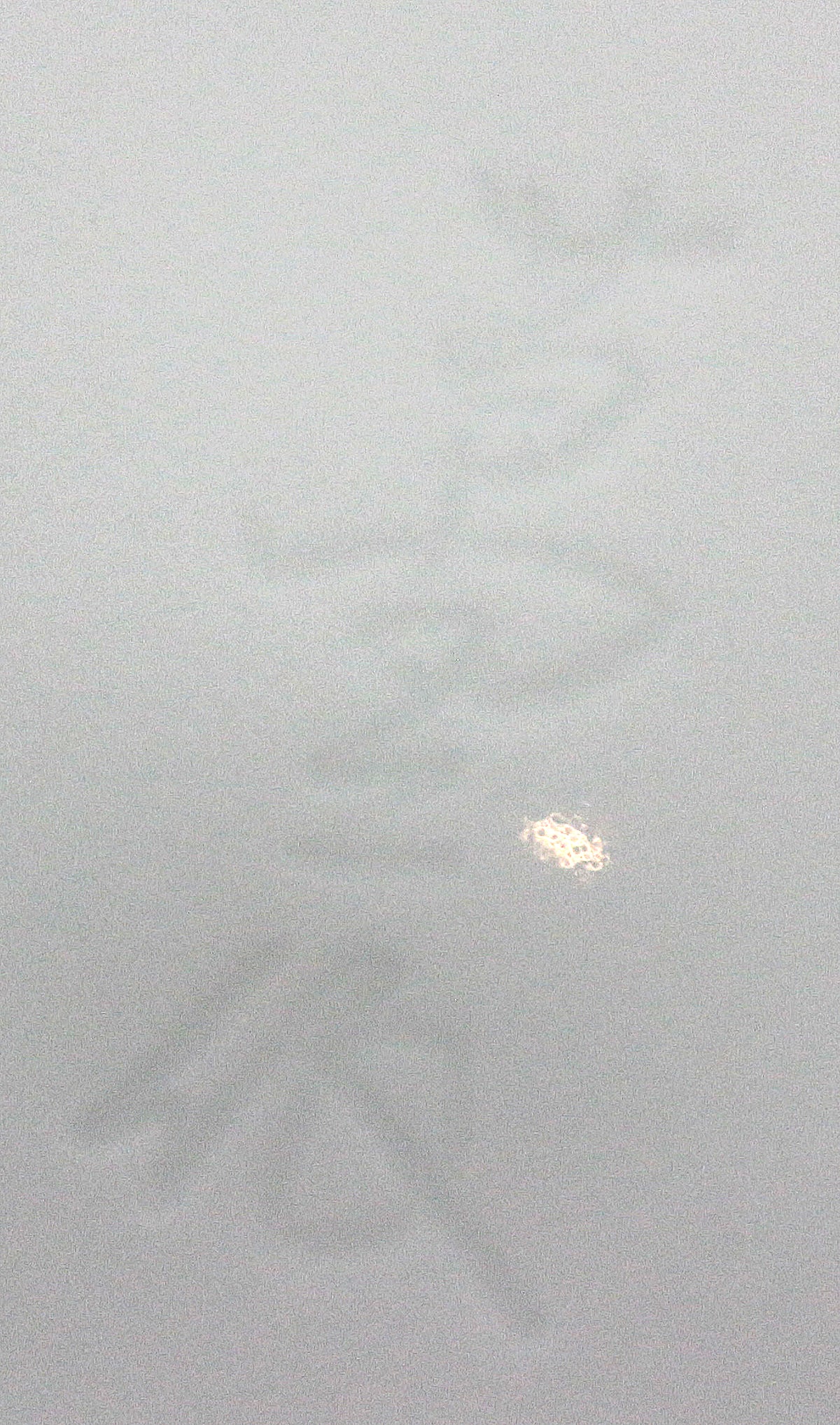 26181　人間国宝　井上萬二	　白磁丸形壷②