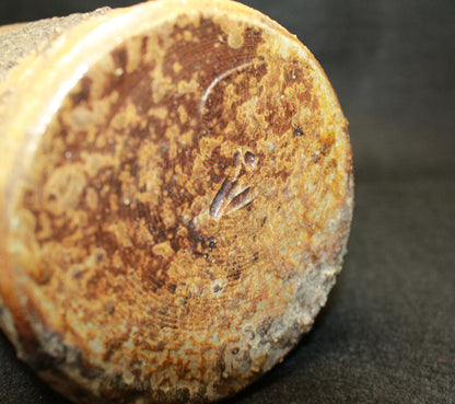 26210 藤原 雄（備前窯変擂座花入）