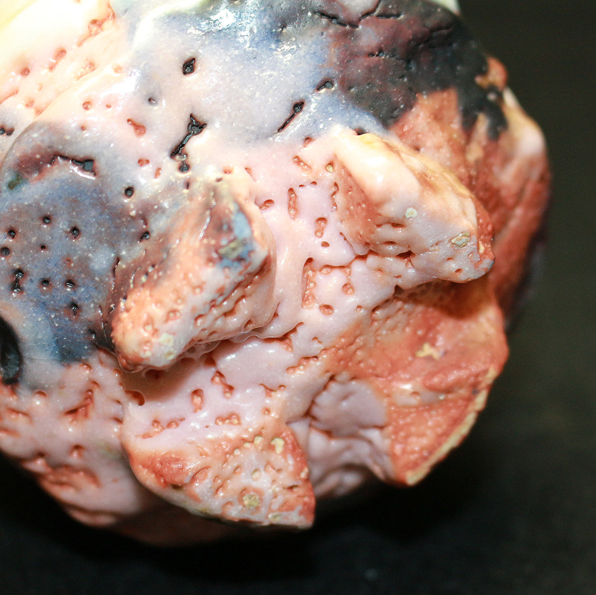 26212	林正太郎	　利休青紫志野割高台ぐい呑　　HAYASHI Shotaro