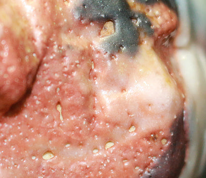 26212	林正太郎	　利休青紫志野割高台ぐい呑　　HAYASHI Shotaro