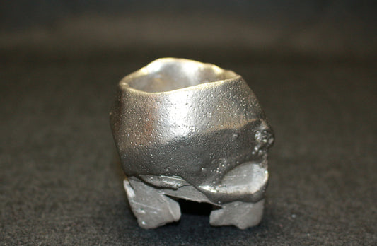 26209	隠崎隆一	　銀彩酒呑　KAKUREZAKI  Ryuichi