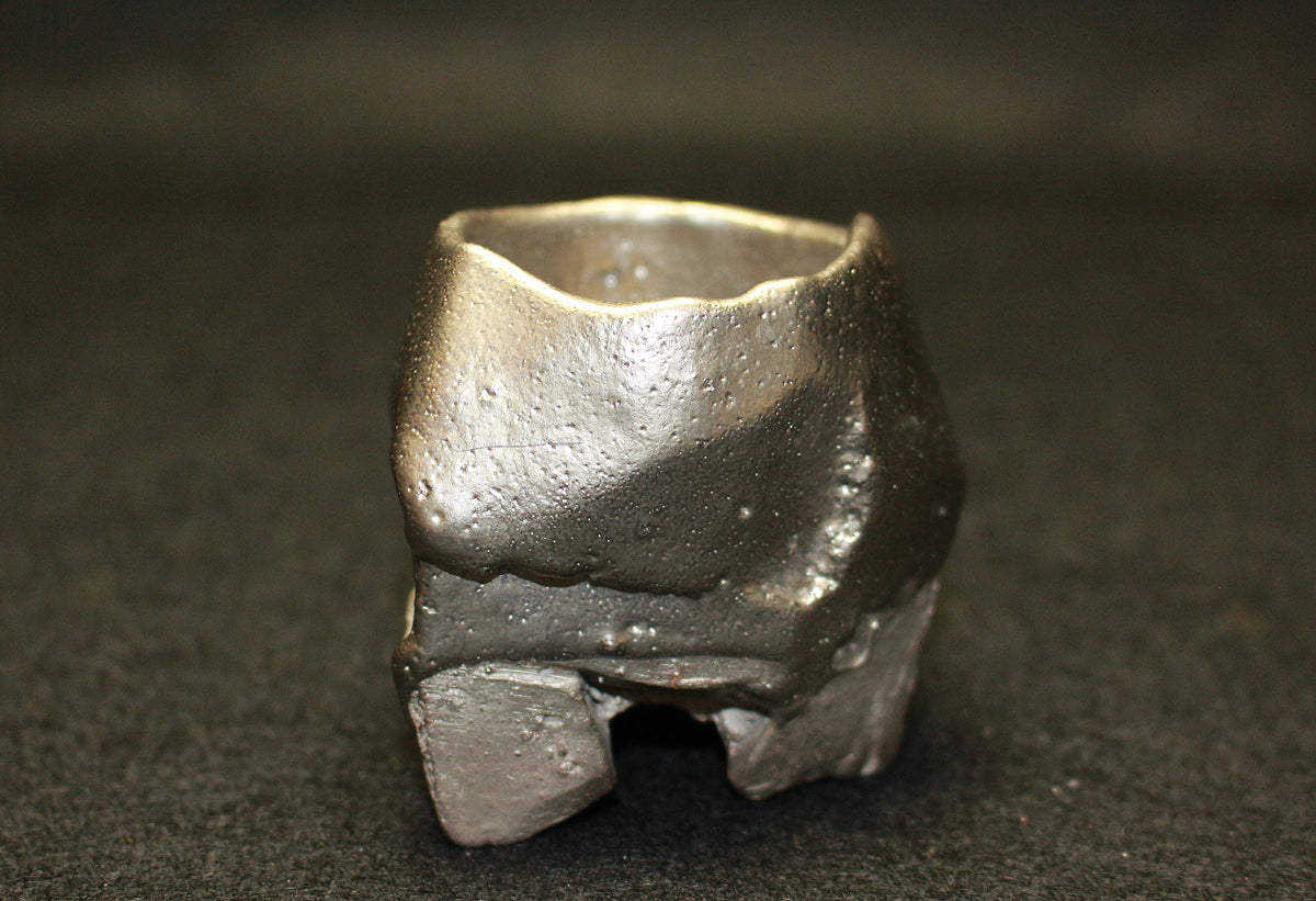 26209	隠崎隆一	　銀彩酒呑　KAKUREZAKI  Ryuichi