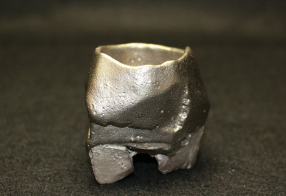 26209	隠崎隆一	　銀彩酒呑　KAKUREZAKI  Ryuichi