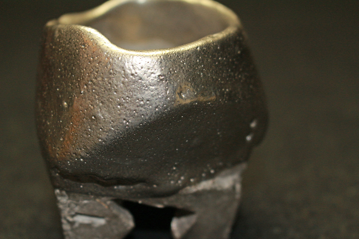 26209	隠崎隆一	　銀彩酒呑　KAKUREZAKI  Ryuichi